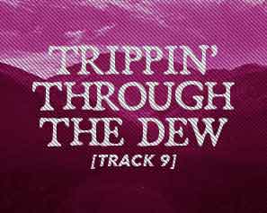 Buddy and The Huddle Trippin Through The Dew