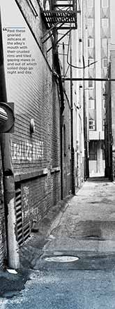 Literary Knox Panel Fourteen