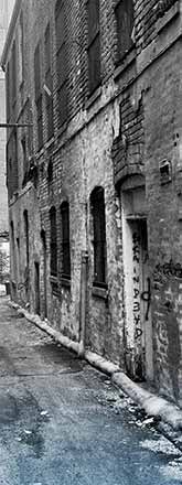 Literary Knox Panel Fifteen