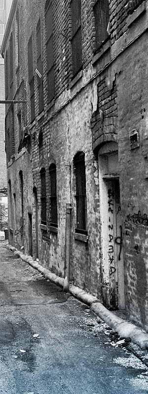 literary knox exhibit