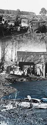 Literary Knox Panel Sixteen