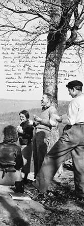 Literary Knox Panel Twenty